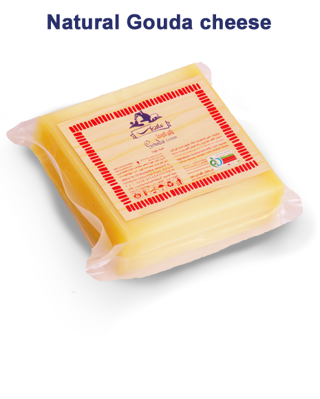 پنیر گودای طبیعی 2